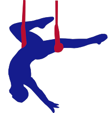 Trapeze artist